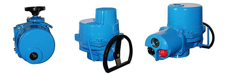 product-1-1 NEXMAX_05